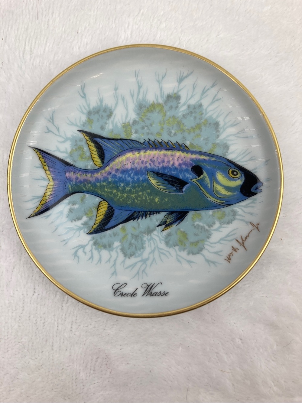 Kaiser Porcelain Creole Wrasse Coaster 4” William R. Johnson